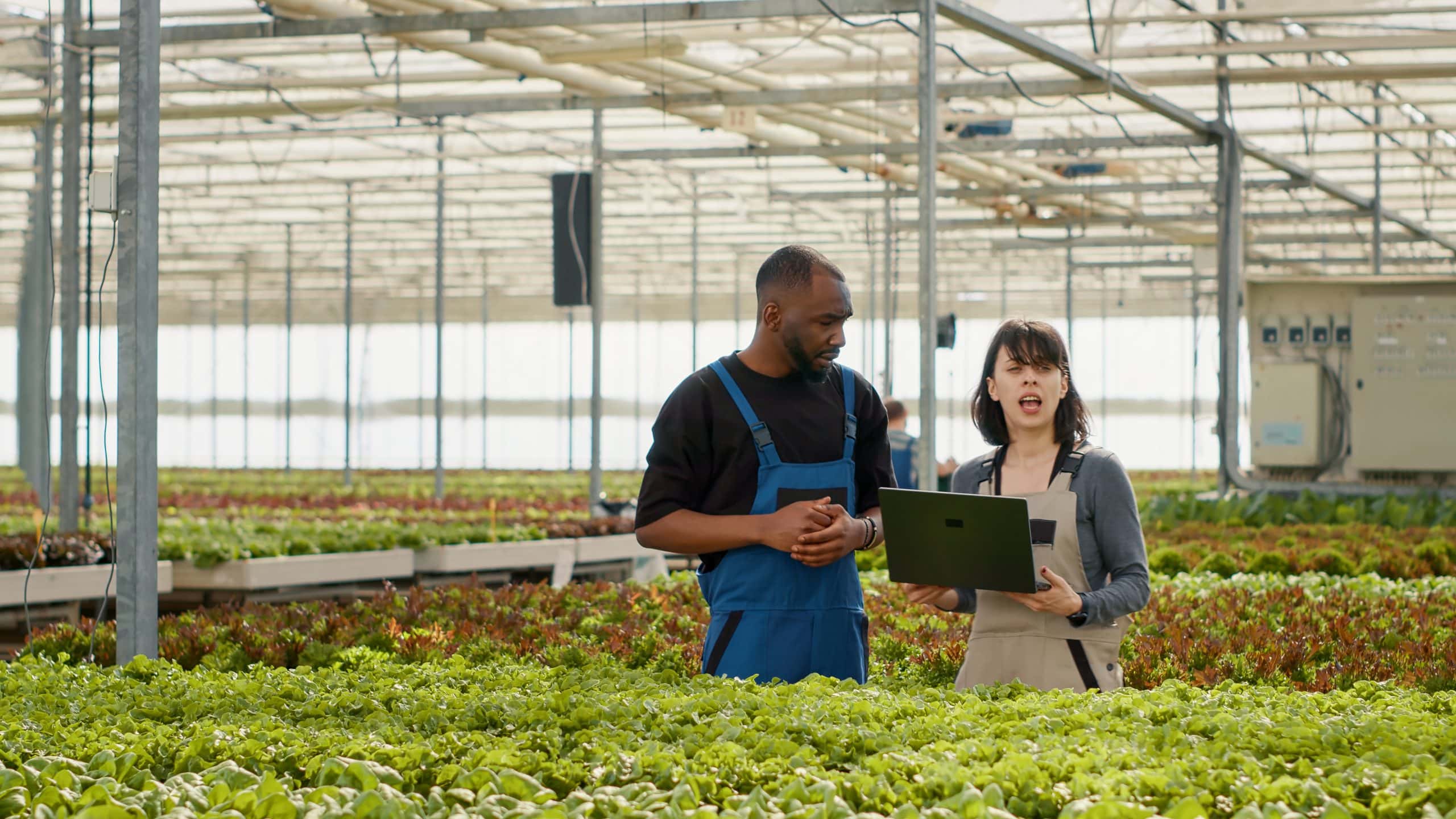 Two people in aprons stand among green plants in a large greenhouse, with one person holding a laptop and speaking to the other.